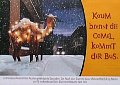 camel21schneebus.jpg